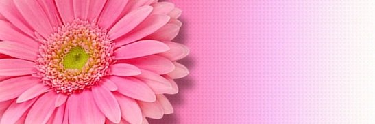 LHarrisRyberg's profile banner image