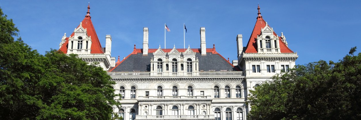 NYS Department of State banner