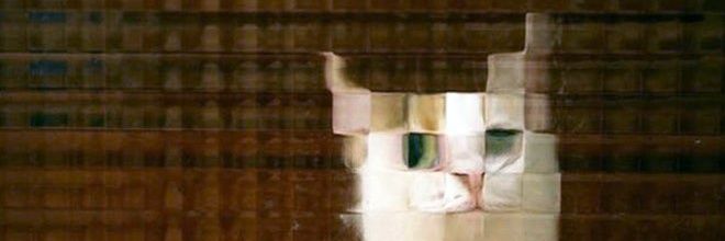 Ophfe 🌚👉🧛 silly vtuber extraordinaire banner