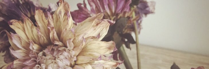 khr_i's profile banner image