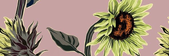 TaiyouCat's profile banner image