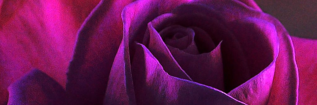 jcwatts41's profile banner image