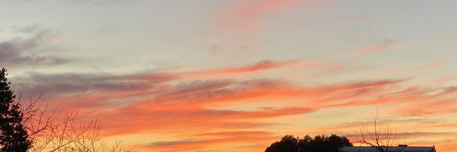 Taamara_B's profile banner image