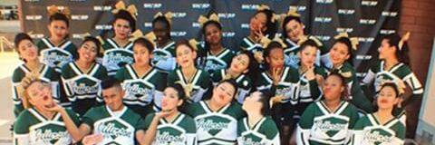 shannoncaylen's profile banner image