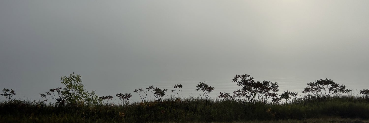 tre4448's profile banner image