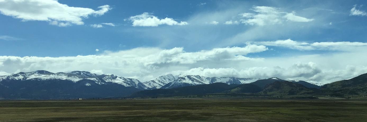 Matt Hollerbach banner