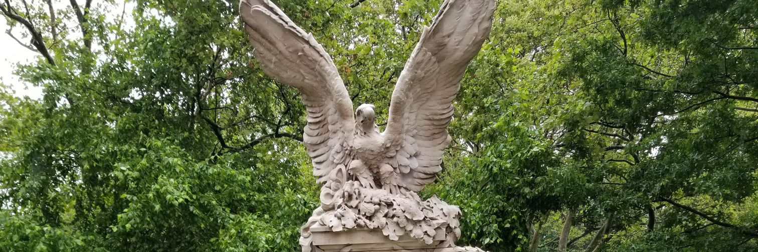 Talia R. BarNoy banner