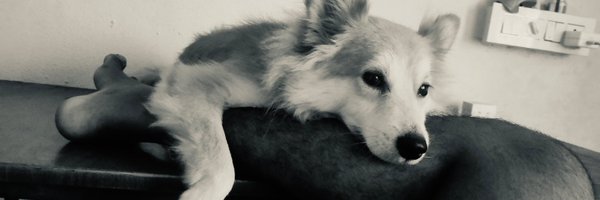 krish__666 Profile Banner