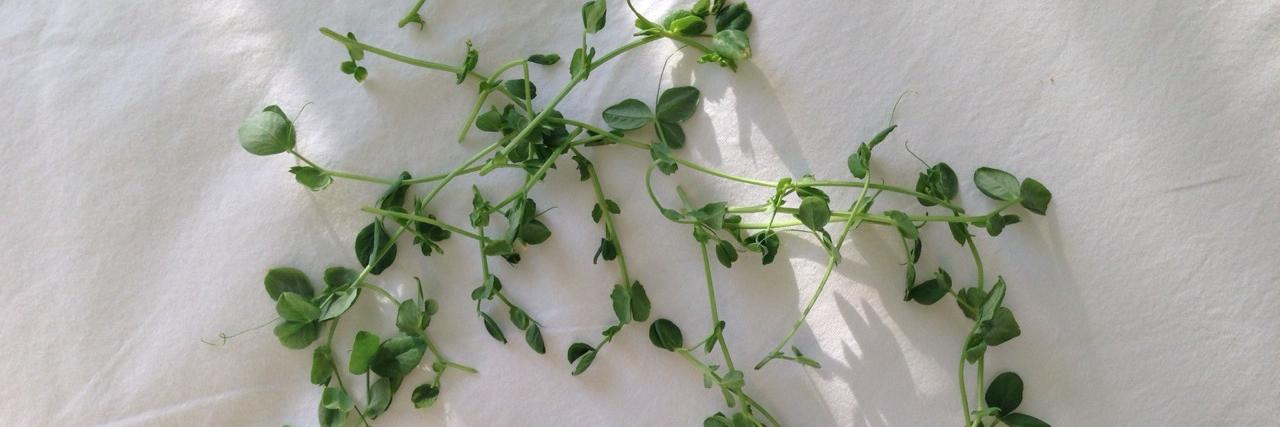 Mel Lisa 🖤 banner