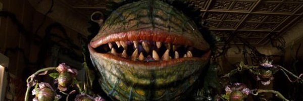 RafaCatalaR Profile Banner