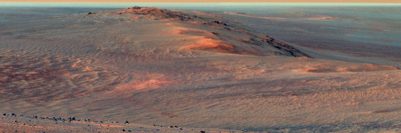 AFBerg12 💙 banner