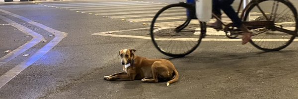 varshamellow Profile Banner