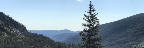 Donut079 Profile Banner