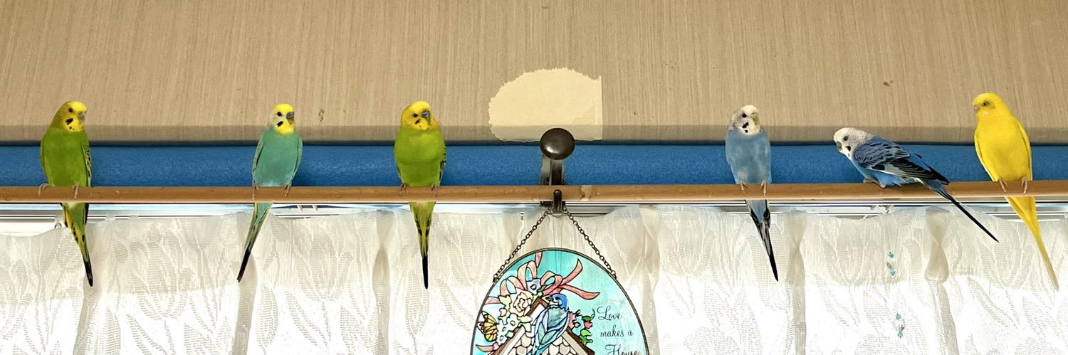 dotadotao's profile banner image
