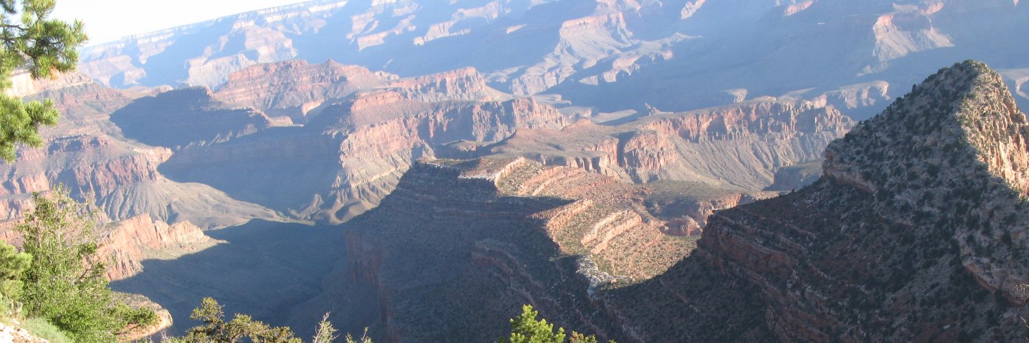 lisaodonnellWSJ's profile banner image