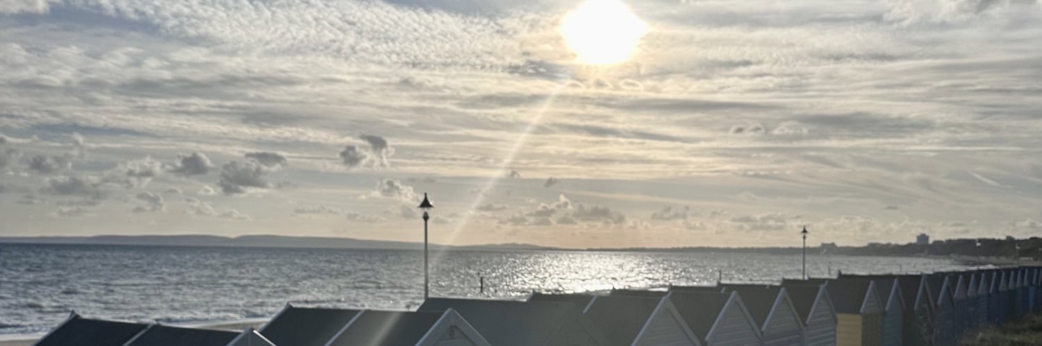 Tara Flynn banner
