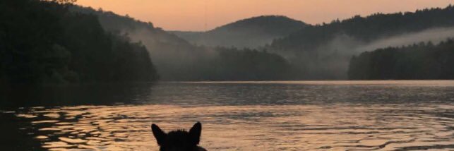 zaenmiller's profile banner image