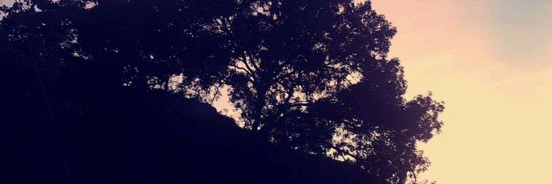 Yissl's profile banner image