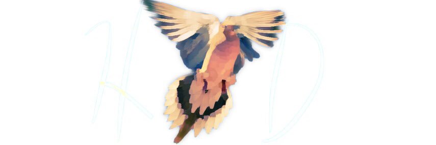 HarmlessDoves's profile banner image