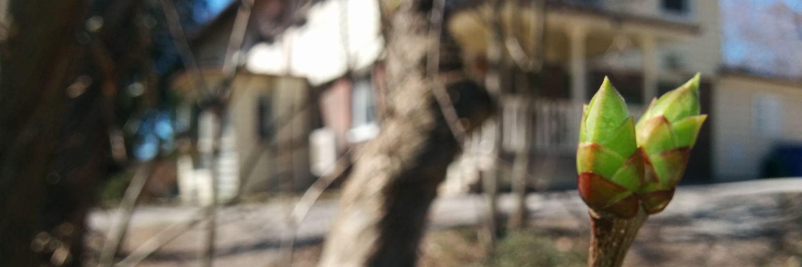 TRCA_FC's profile banner image