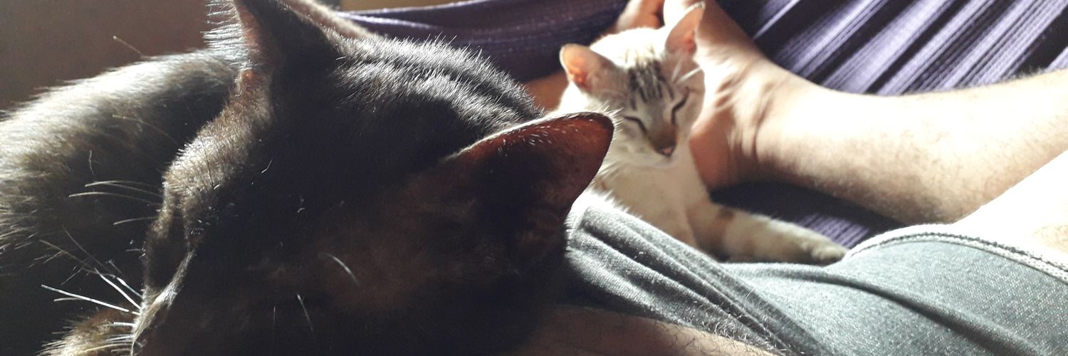 eutiagopf's profile banner image