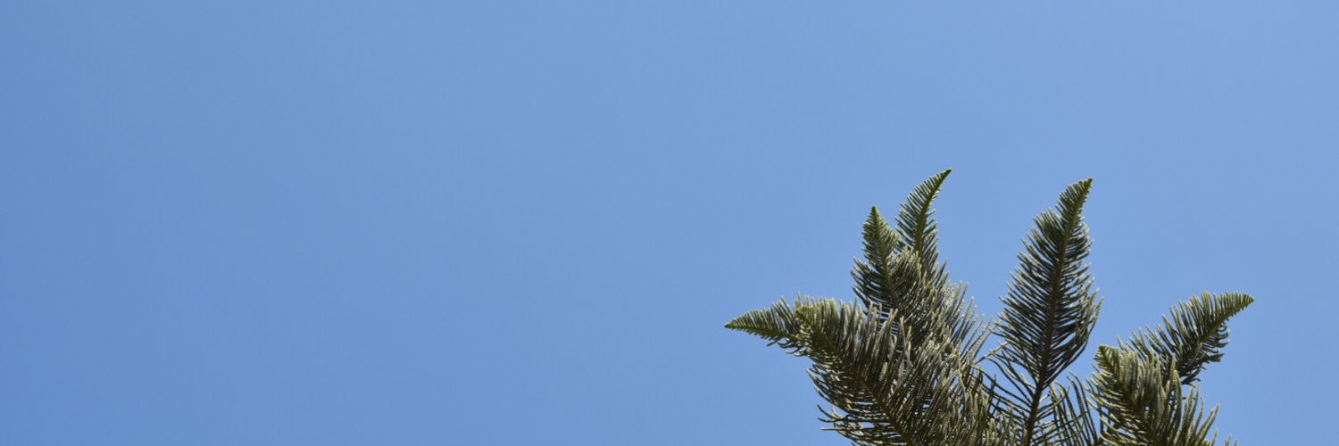 DG banner