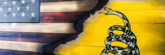 LetsGoPens01's profile banner image