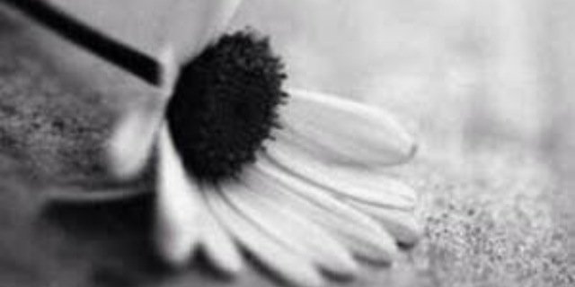 _bandery's profile banner image