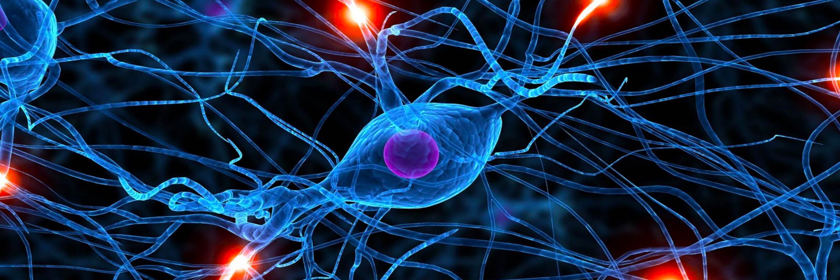 neurotrauma banner