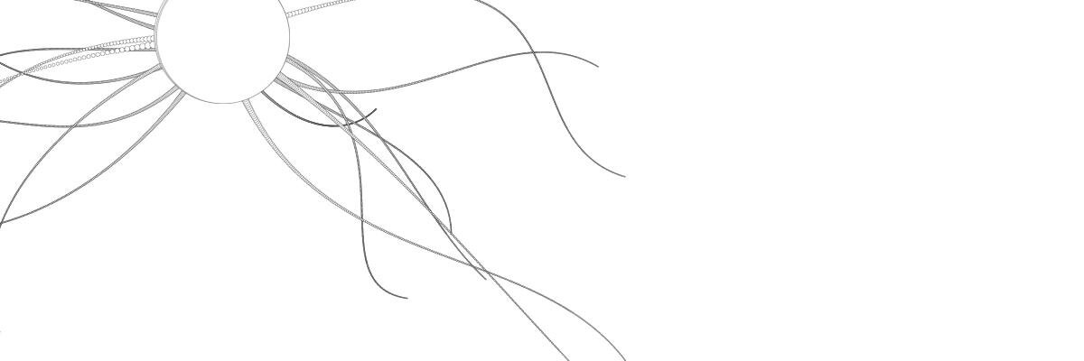liasomething (same handle everywhere)'s banner