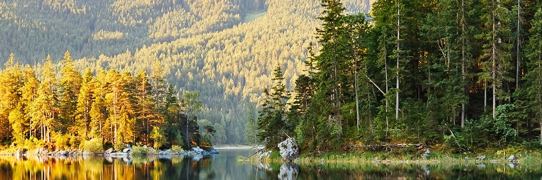 ∆ Joume Daal ∆ banner