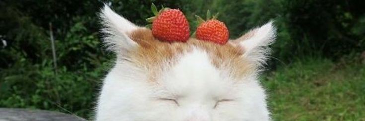 itsmehndyn's profile banner image