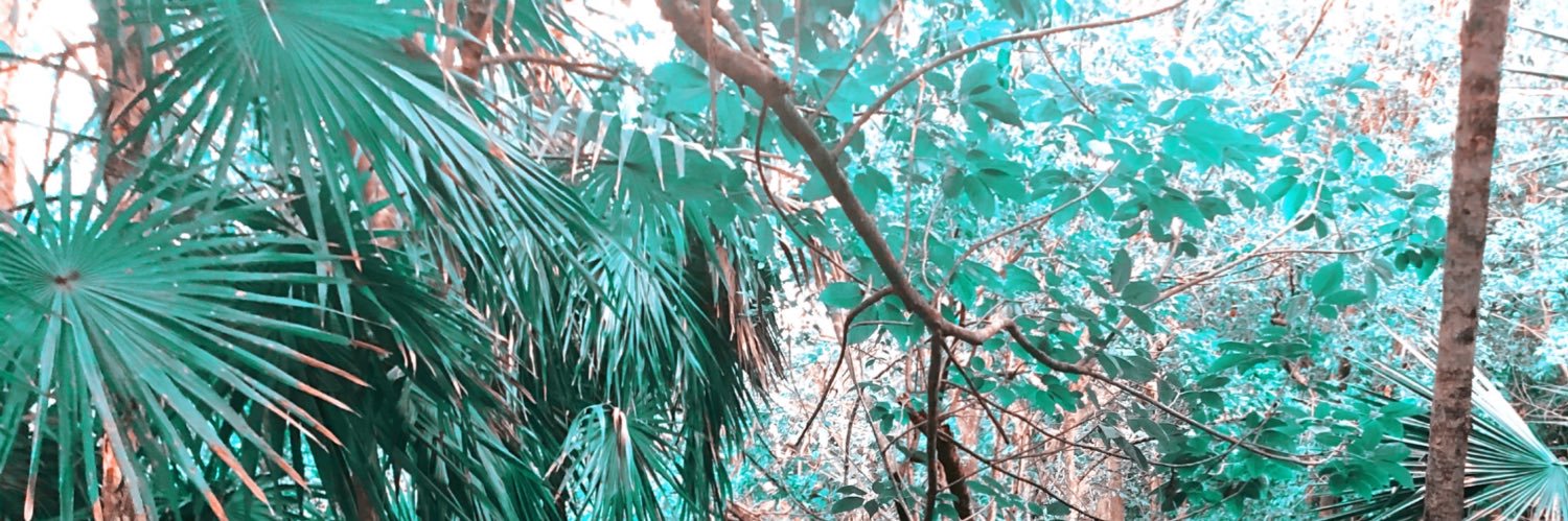 kierraabennett's profile banner image
