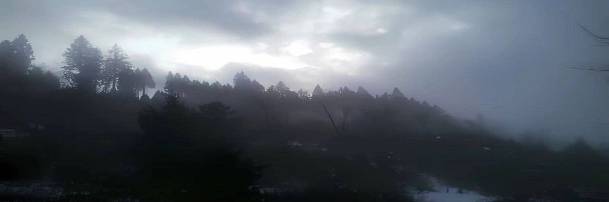 justgolds's profile banner image