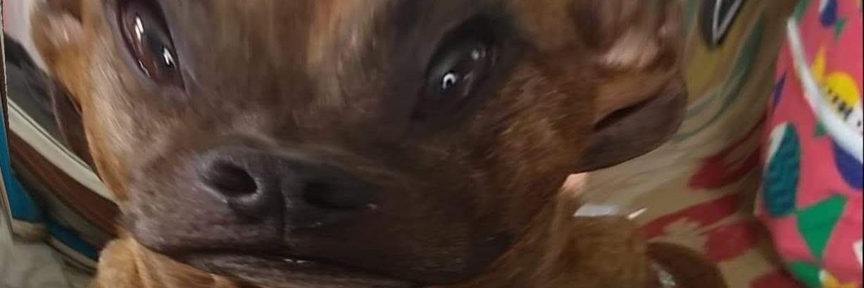 allyiou's profile banner image