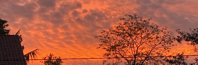 🦋 banner