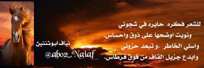 abo2_Naiaf's profile banner image