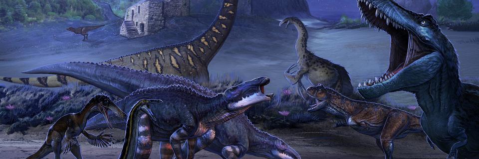LiamKristoffer4's profile banner image