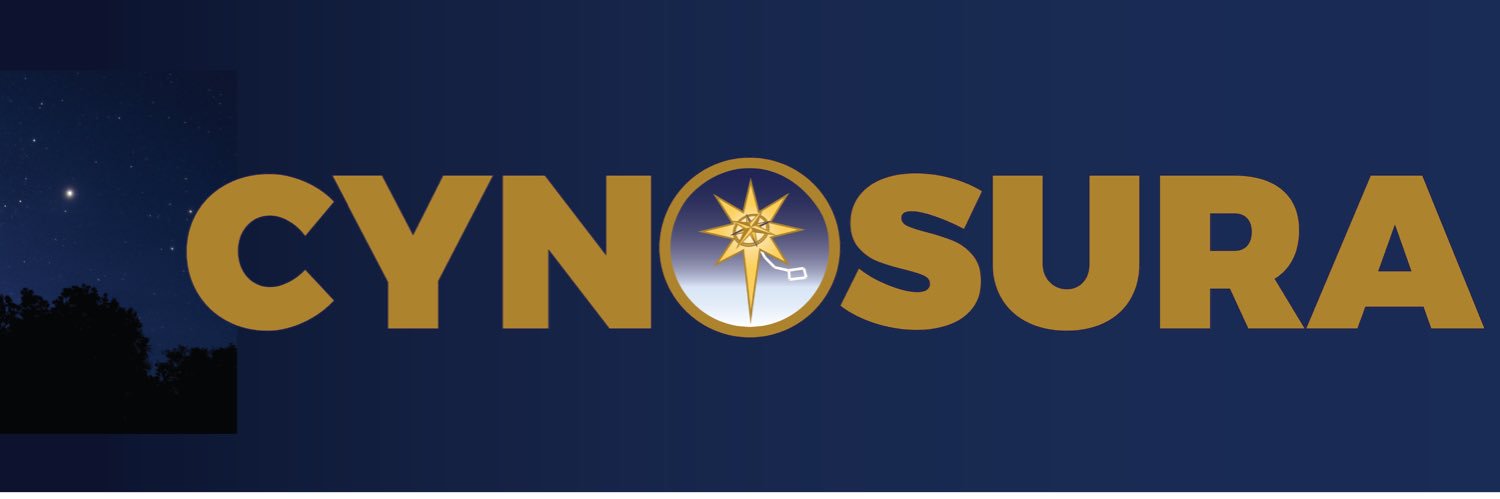 Cynosura Business Coaching banner
