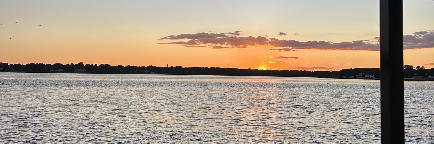 allydepietro's profile banner image