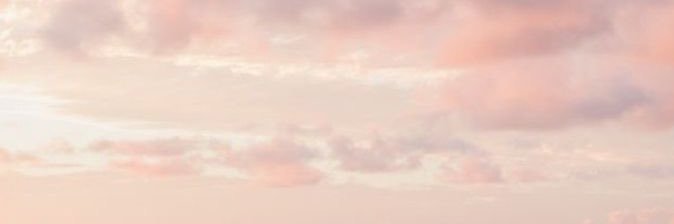 S___N___31's profile banner image