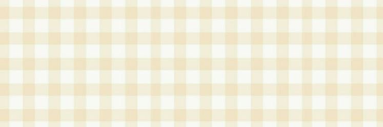 missingpansies's profile banner image