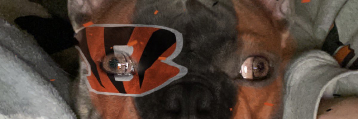 danielle_wunder's profile banner image