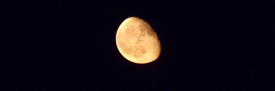 mariadelumar22's profile banner image