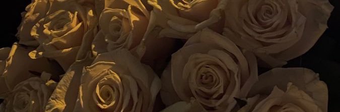 nnarin__'s profile banner image