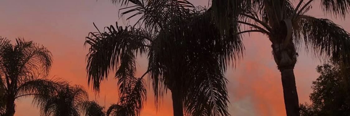 _meshelle's profile banner image
