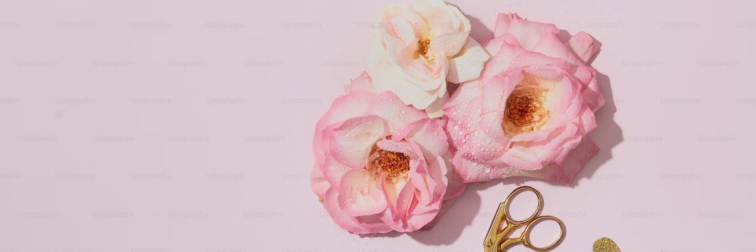 Karli Johnson banner