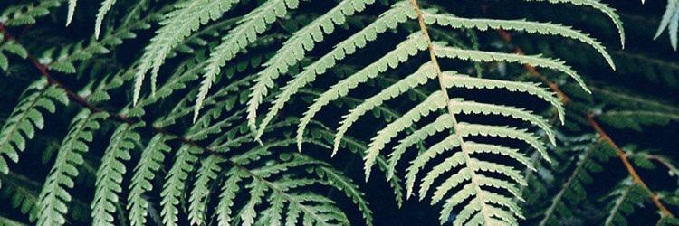 _danagen's profile banner image