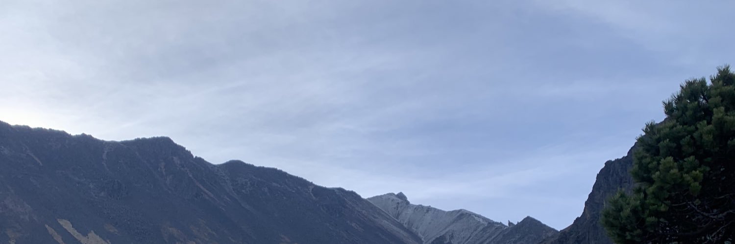 vichomex's profile banner image