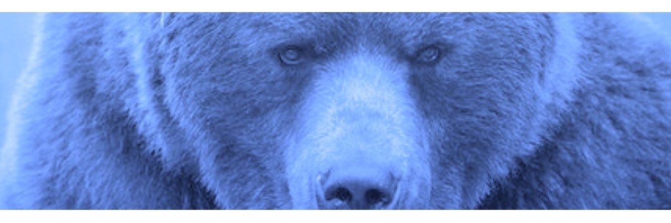 Plainview Baseball Club banner